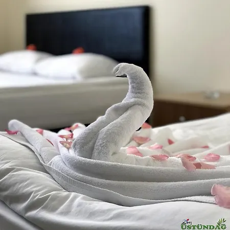 Ustundag Hotel 3*
